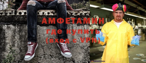 прущие грибы Абинск