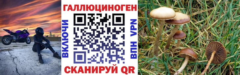 Псилоцибиновые грибы MAGIC MUSHROOMS  Инсар 
